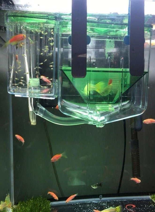 LinaLife Aqua Nursery and Hatchery Breeding Box for Your Aquarium - Help Protect Baby Fish from Predators Breeding Aquarium Fish Tank Guppy Hatchery Breeder Incubator Isolation Box - Image 2